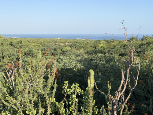 Zacaton Playa Tortuga, Zacaton Developer Land