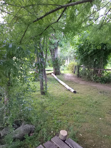 Cabaña Delta Tigre