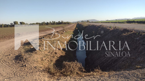 Terreno En Venta Ahome, Sinaloa