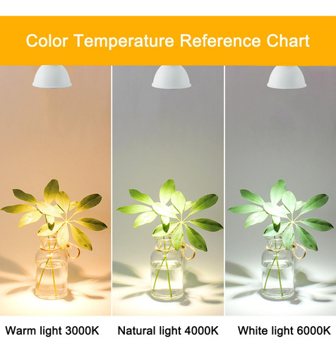Pacote Com 12 Lâmpadas De Led Bravsekai Gu10, 3000 K, Blanca