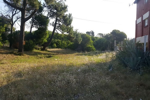 Imagen 2 de 2 de Excelente Ubicación- Lote Arbolado Y A Nivel De Calle- Zona Multifamiliar- 15x30 - 450mts