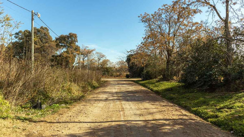 Imagen 13 de 13 de Casa Amplia A La Venta En Libertad Oeste Al 500, Lobos