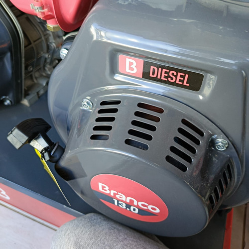 Motor Diesel Bd13.0 13cv Com Partida Eletrica Branco Motores