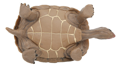 Juguete Temprano De Simulación De Elefante Y Tortuga Vivid A