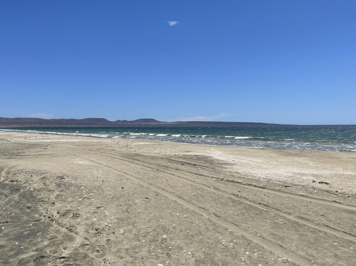 Parcelas Rol Propio Sin Pago De Comisión Playa De Tongoy!!