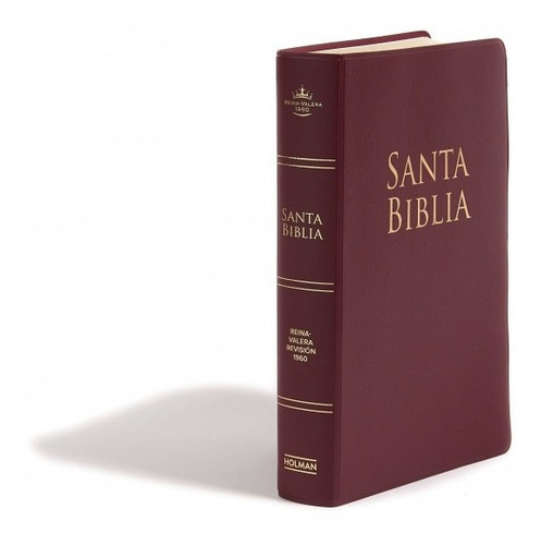 Oferta Biblia Reina Valera 1960 Letra Grande Vinilo Borgoña