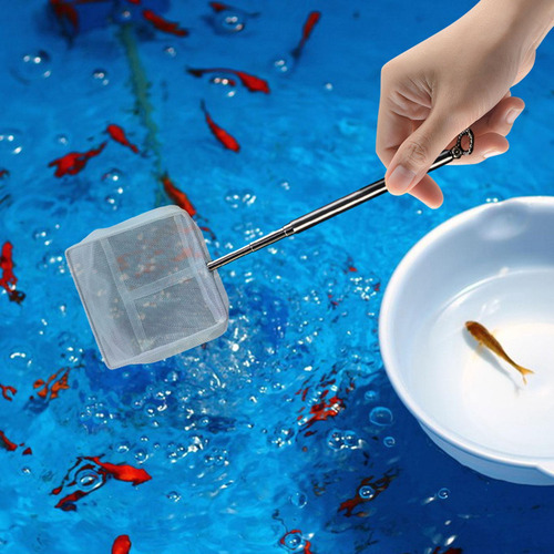 Red De Limpieza Para Peces De Acuario, Red Cuadrado