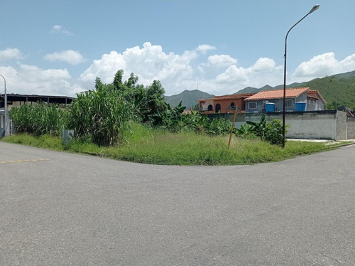 Imagen 4 de 4 de Terreno San Diego Avenida Don Julio Centeno Conjunto Cerrado