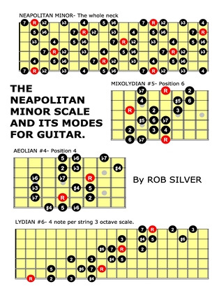 Libro The Neapolitan Minor Scale And Its Modes For Guitar...