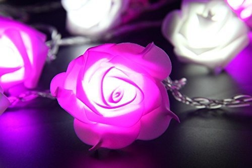 Led Con Pilas Cadena Romántica Rose Luz De Hadas