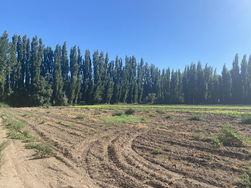 Terreno - Vista Alegre Sur