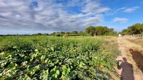 Campo De 100 Hectáreas En Venta - Villa De Soto