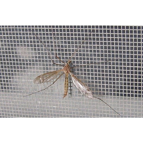 Tela Mosquiteira 1,00 X 1,00 Metros Verde Oferta