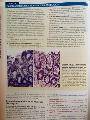 Imagen 9 de 9 de Ross Histología Texto Y Atlas 8a Libro Original Y Nuevo