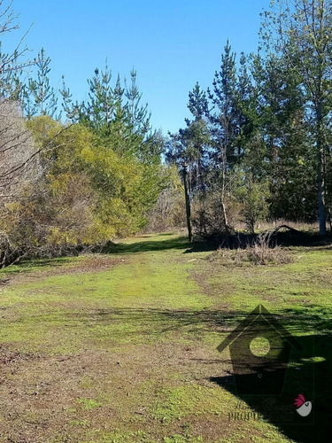 Parcela Camino A Tunquen, Agarrobo, 3.56 Hectáreas