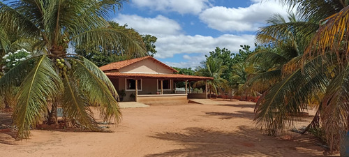Sítio Com 2 Casas, Água, Internet E Energia - Manga-mg - Ideal Para Lazer Ou Criação