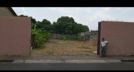 Imagen 7 de 14 de Terreno En Venta En Calabozo