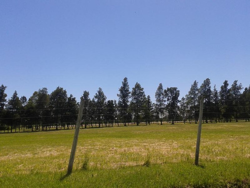 Terreno En Venta En 138/475 Y 477 City Bell - Alberto Dacal Propiedades