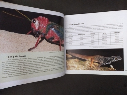 1.3 Relatos Sobre Animales De Venezuela El Arca Criolla (Usado)