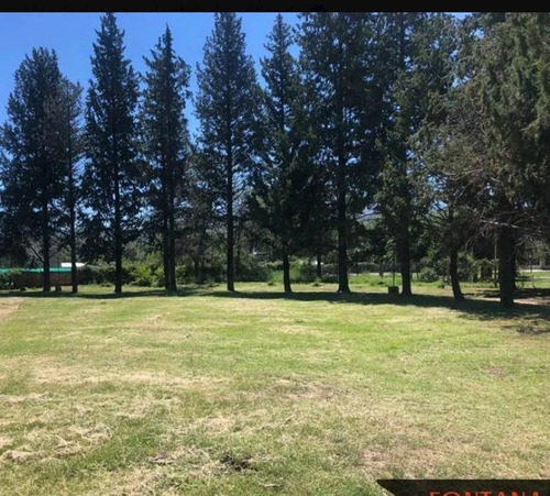 Dos Casas En Lote De 1 Hectarea En Juana Koslay San Luis