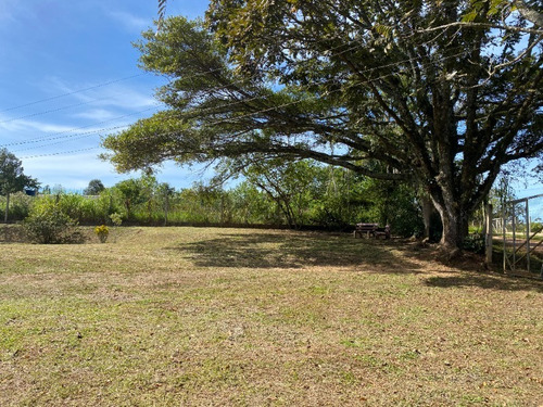 Chácara 3.000 M² - Imperial - Gravataí - Rs - 1998 - 33358155