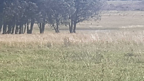 A Pocos Km De Sarandí Grande
