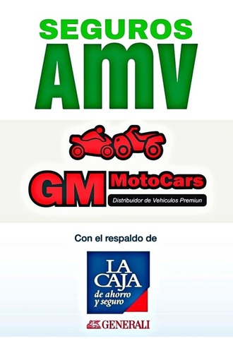 Imagen 11 de 15 de Yamaha Fz 25 2021