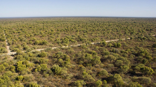 Imagen 9 de 18 de Venta De Campos En Córdoba Chancaní Campo Ganadero