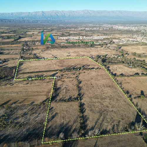 Campo En San Pedro