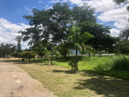 Imagen 2 de 19 de Vendo Granja Avícola Bejuma Dt