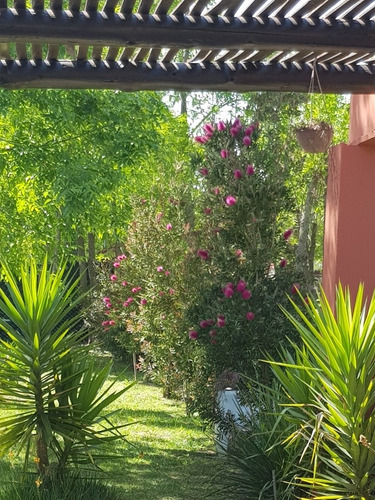 Imagen 16 de 28 de Alquiler Casa Quinta En Chascomus