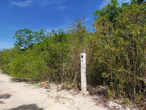 Imagen 1 de 7 de Terreno En Venta En Tulum