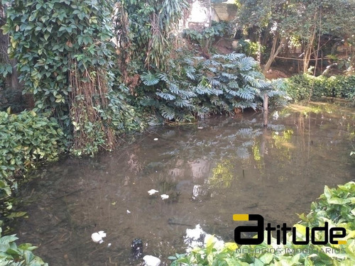 Imagem 7 de 15 de Área Em Barueri Com 5000m2, Jardim Tupã. - 4233