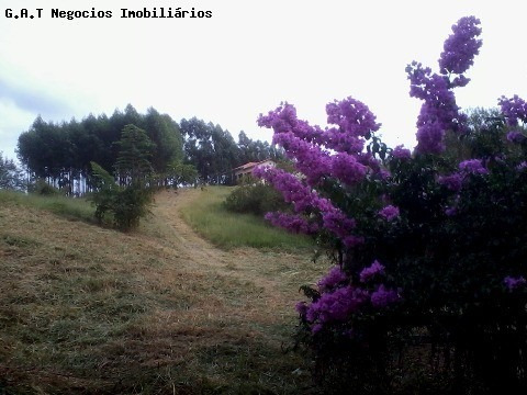 Imagem 12 de 24 de Área, Venda, Brigadeiro Tobias - Sorocaba/sp - Ar00537 - 2633209
