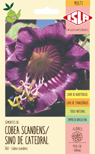 Sementes De Cobea Scandens/sino De Catedral Flor