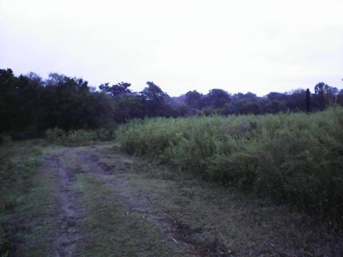 Imagen 9 de 11 de Venta De Rancho En Ciudad Valles, San Luis Posoti