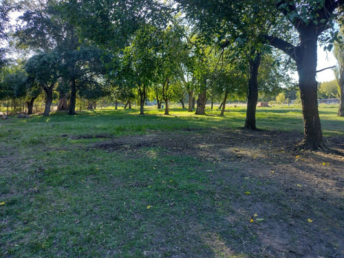Imagen 2 de 15 de Lote | Ruta Nac Nº 8