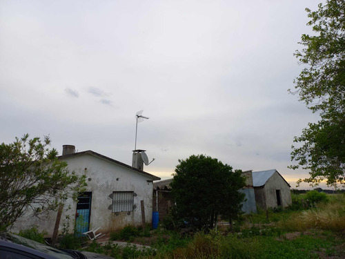 Campo En Rincón De Pando 4ha + Inmueble