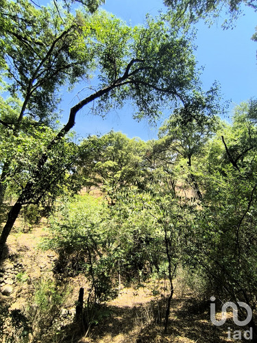 Venta Terreno 0 Ambiente La Piní