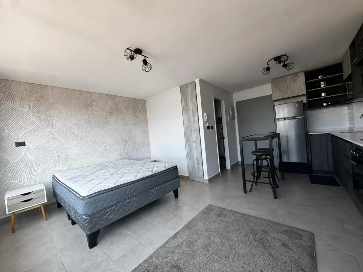 Imagen 3 de 11 de Inversión: Studio Arrendado En Maipú, Concepción