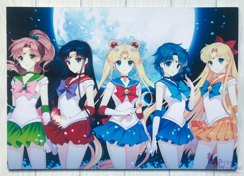Cuadro Artesanal De Sailor Moon - Sailor Scouts