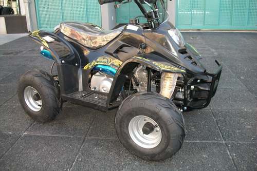 Imagen 13 de 17 de Mini Cuatriciclo Maxus Lizard 90