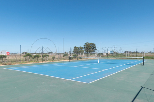 Imagen 8 de 25 de Lote 151 En Developer Park Oportunidad!!!