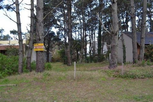 Vendo Lote Nuevo Valor -ubicado Centrica - Forestado-