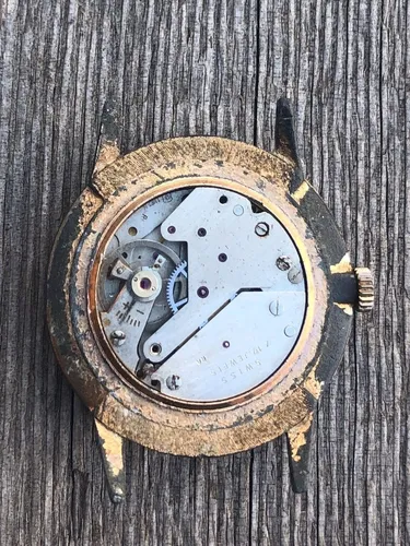 Reloj Fero Feldmann 17 Jewels Antimagnetic Cal. Eb 1197n