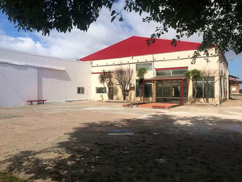 Imagen 7 de 8 de Local Industrial Depósito Logístico Disponible Flor Maroñas