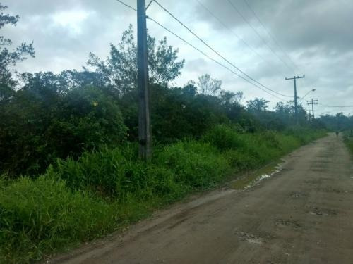 Imagem 3 de 3 de Ótimo Lote À Venda No Jardim Aguapeu - Itanhaém 6307 | Sanm