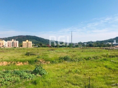 Casa Em Hípica Com 3 Dormitórios - Mi270020