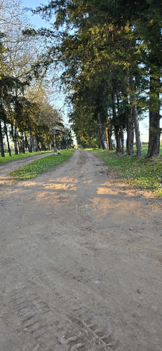 Lotes Al Golf Entre Rios