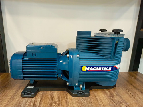 Bomba Para Piscina Magnifica 3hp 220v